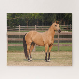 Bob Langrish   Buckskin Quarter Horse Standing Jigsaw Puzzle
