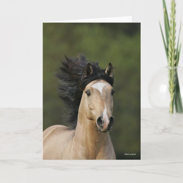 Bob Langrish | Buckskin Welsh Pony Headshot Card (Front)