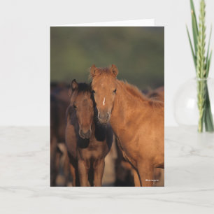 Bob Langrish Caspian Pony Foals Standing Together Card