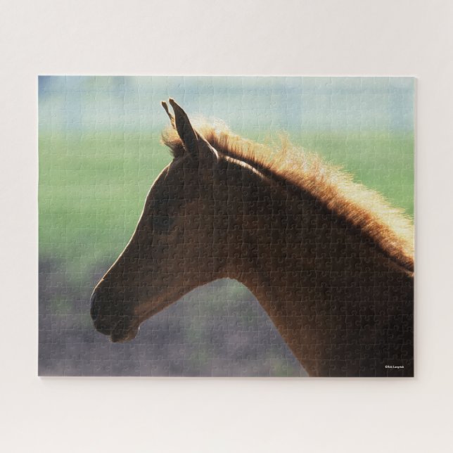 Bob Langrish | Chestnut Arab Foal backlit Headshot Jigsaw Puzzle (Horizontal)