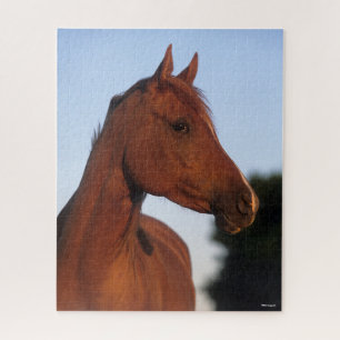 Bob Langrish   Chestnut Arab Headshot Jigsaw Puzzle