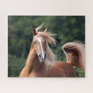 Bob Langrish Chestnut Arab Stallion Headshot Jigsaw Puzzle