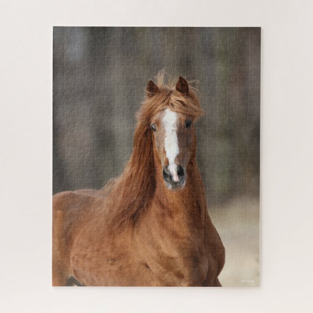 Bob Langrish | Chestnut Hackney Headshot Jigsaw Puzzle (Vertical)