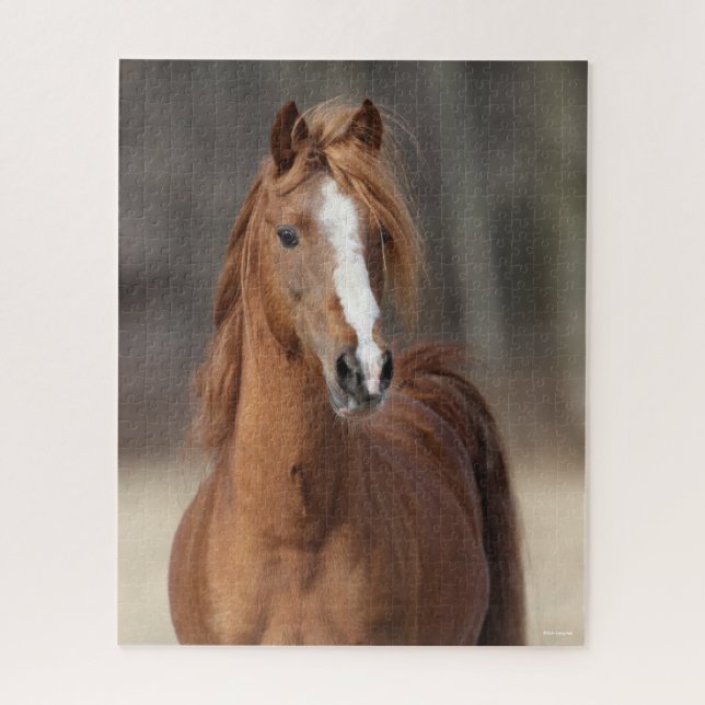 Bob Langrish | Chestnut Hackney Pony headshot Jigsaw Puzzle (Vertical)