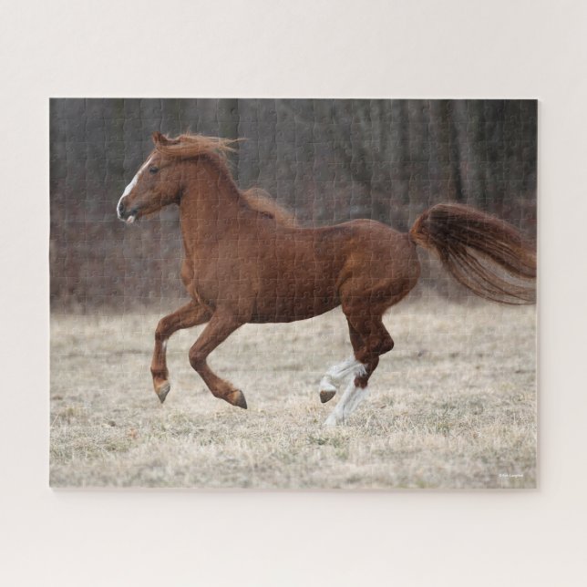 Bob Langrish | Chestnut Hackney Pony Running Jigsaw Puzzle (Horizontal)