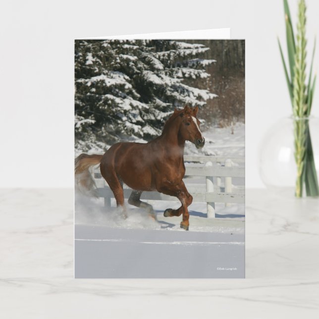 Bob Langrish | Chestnut Horse Running In The Snow Card (Front)
