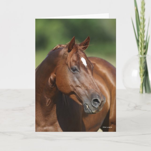 Bob Langrish Chestnut Quarter Horse Mare Headshot Card (Front)