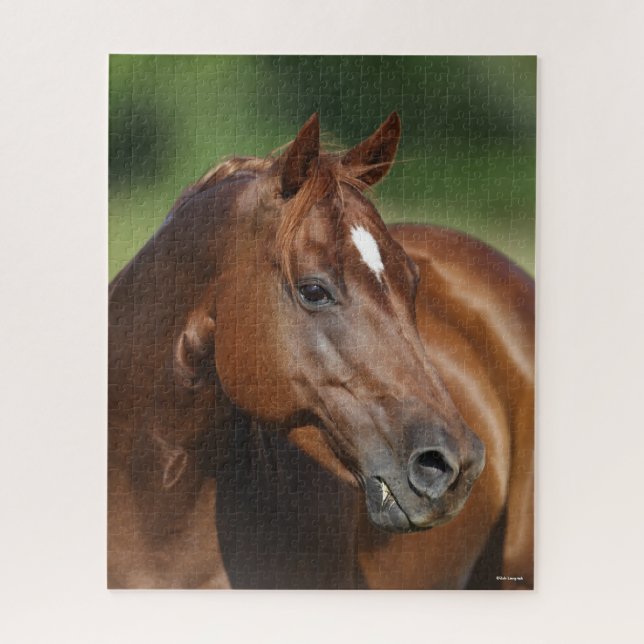 Bob Langrish Chestnut Quarter Horse Mare Headshot Jigsaw Puzzle (Vertical)