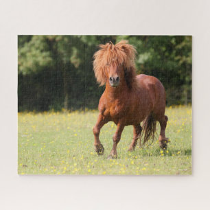 Bob Langrish Chestnut Shetland Pony Stallion Jigsaw Puzzle