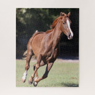 Bob Langrish   Chestnut Tennessee Walker Running Jigsaw Puzzle