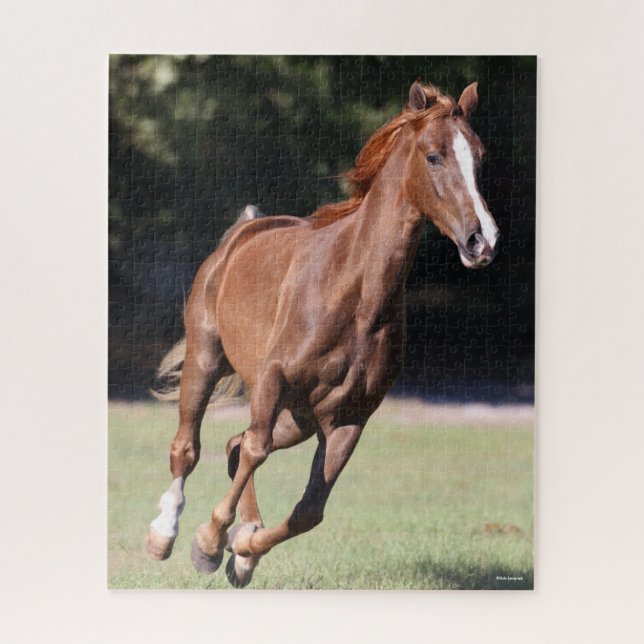 Bob Langrish | Chestnut Tennessee Walker Running Jigsaw Puzzle (Vertical)