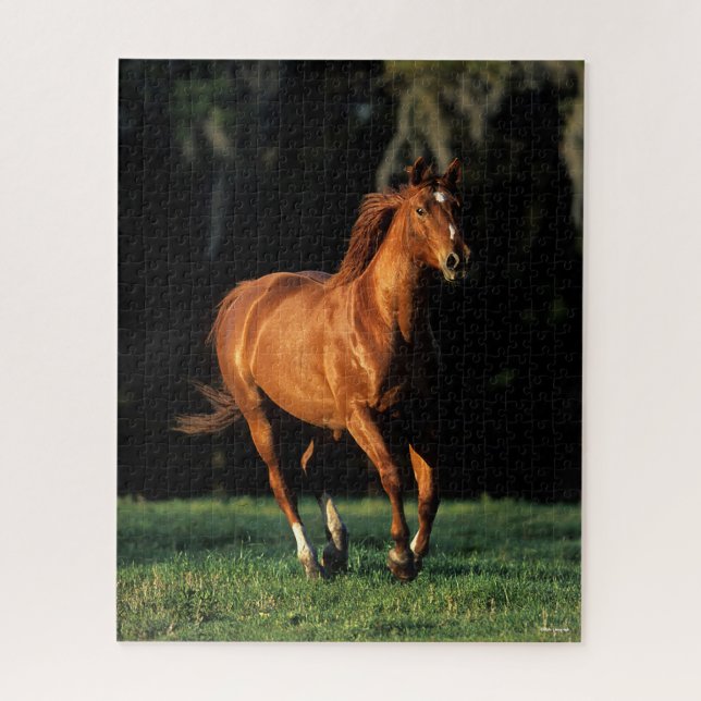 Bob Langrish | Chestnut Warmblood Mare Running Jigsaw Puzzle (Vertical)
