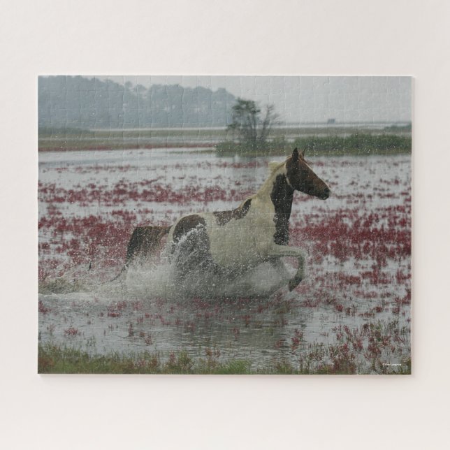 Bob Langrish | Chincoteague Horse Running In Water Jigsaw Puzzle (Horizontal)