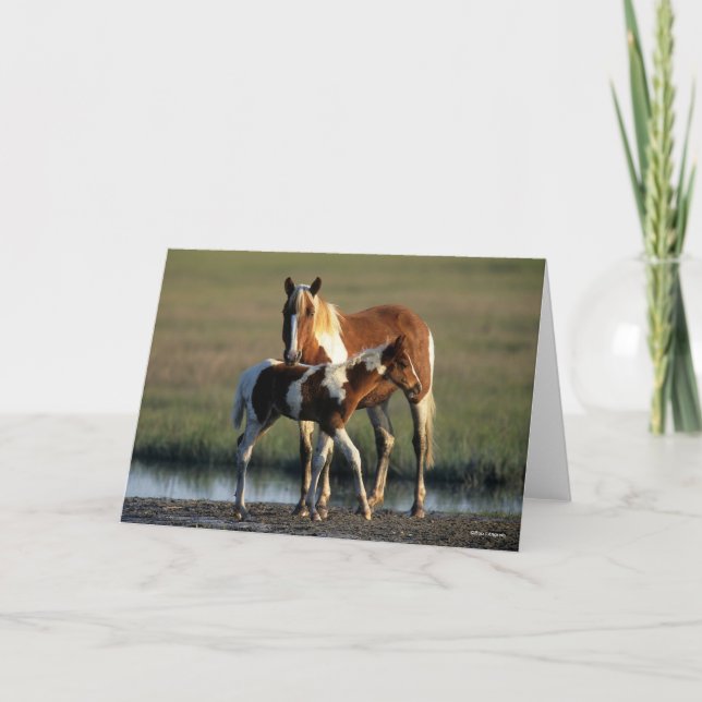 Bob Langrish | Chincoteague Mare and Foal Standing Card (Front)