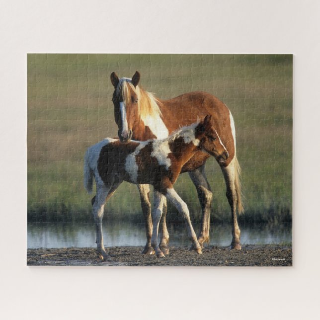 Bob Langrish | Chincoteague Mare and Foal Standing Jigsaw Puzzle (Horizontal)