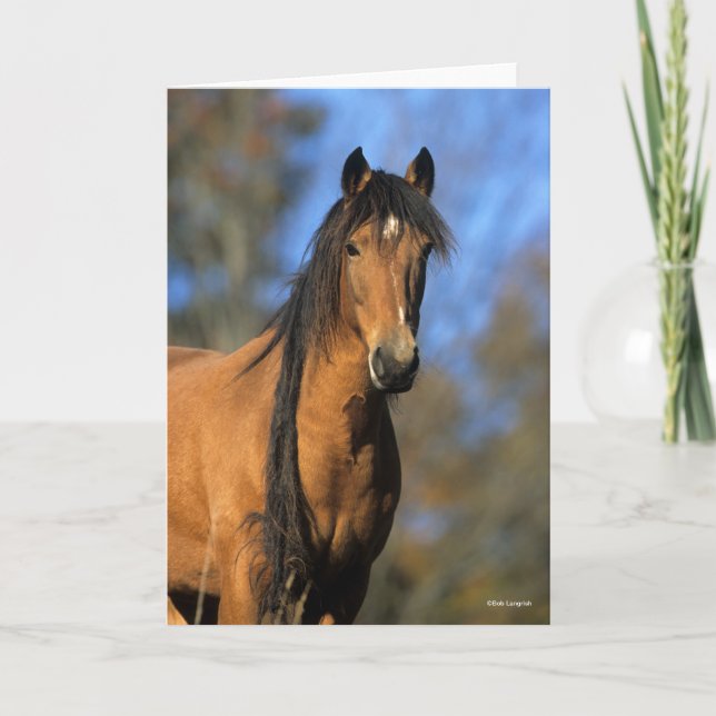 Bob Langrish | Choctaw Pony Headshot Card (Front)