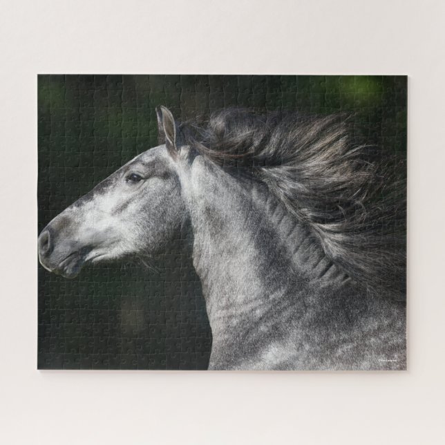 Bob Langrish | Dapple Grey Andalucian headshot Jigsaw Puzzle (Horizontal)