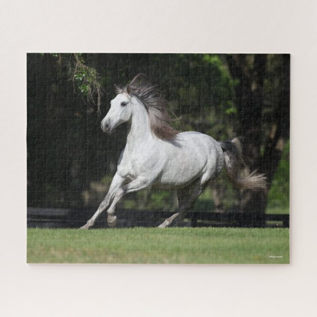 Bob Langrish | Dapple Grey Andalucian Running Jigsaw Puzzle (Horizontal)