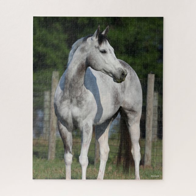 Bob Langrish | Dapple Grey Quarter Horse Standing Jigsaw Puzzle (Vertical)