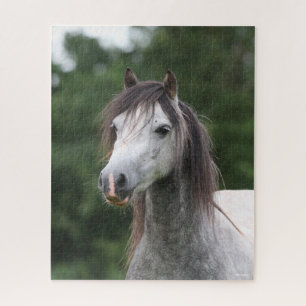 Bob Langrish Dapple Grey Welsh Pony Headshot Jigsaw Puzzle