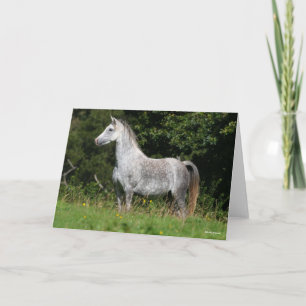 Bob Langrish   Dapple Grey Welsh Pony Standing Card
