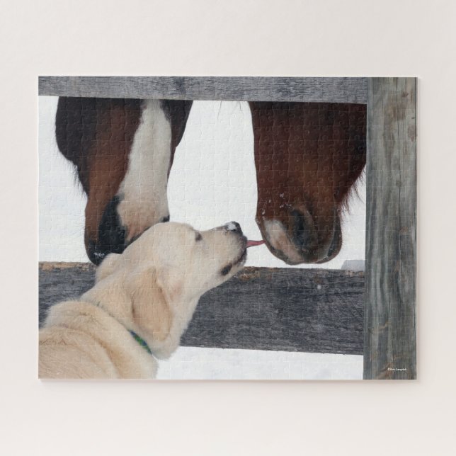 Bob Langrish | Dog Licking Horses Nose Jigsaw Puzzle (Horizontal)