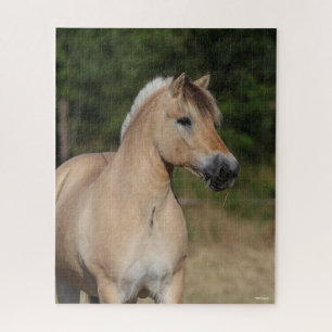 Bob Langrish Fjord Horse Standing Headshot Jigsaw Puzzle
