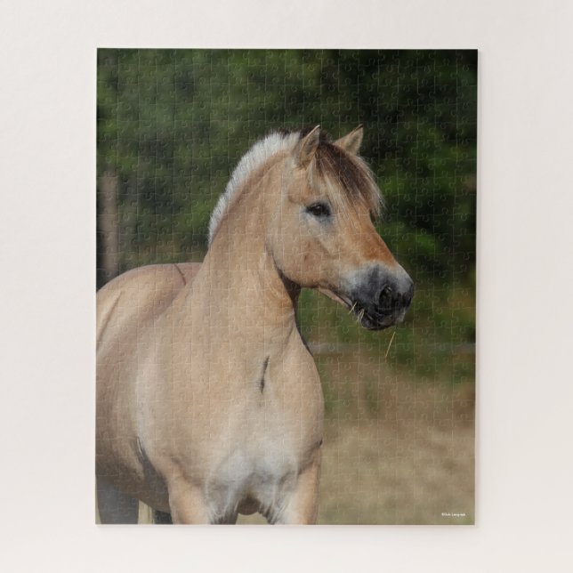 Bob Langrish | Fjord Horse Standing Headshot Jigsaw Puzzle (Vertical)