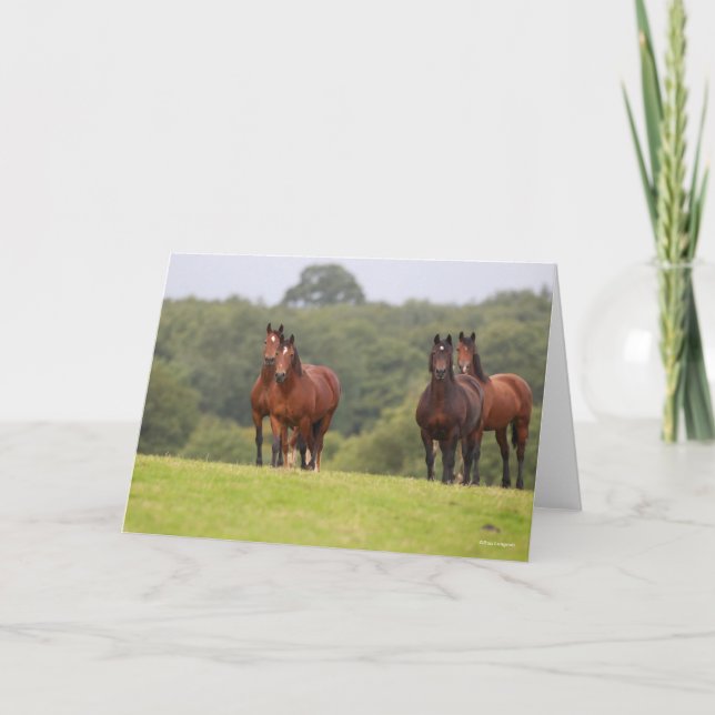 Bob Langrish | Four Welsh Ponies Standing Together Card (Front)