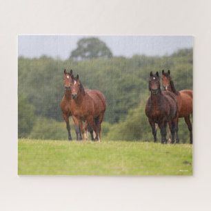 Bob Langrish Four Welsh Ponies Standing Together Jigsaw Puzzle