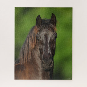 Bob Langrish Friesian Horse Headshot Jigsaw Puzzle