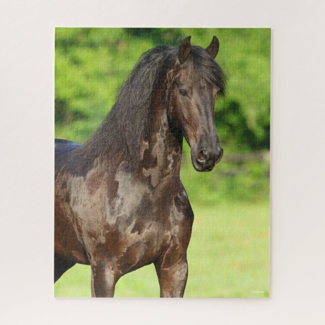 Bob Langrish | Friesian Horse Standing Headshot Jigsaw Puzzle (Vertical)