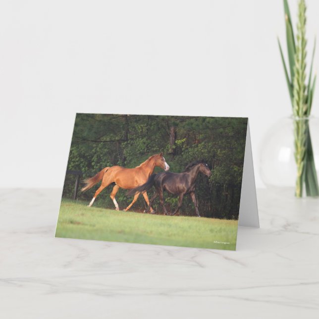 Bob Langrish | German Riding Pony And Oldenburg Card (Front)