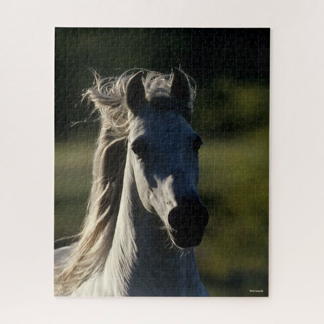 Bob Langrish | Grey Andalucian Headshot Backlit Jigsaw Puzzle (Vertical)