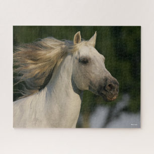 Bob Langrish Grey Andalucian Headshot Mane Flowing Jigsaw Puzzle