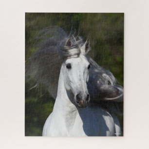 Bob Langrish Grey Andalucian headshot Mane Flowing Jigsaw Puzzle
