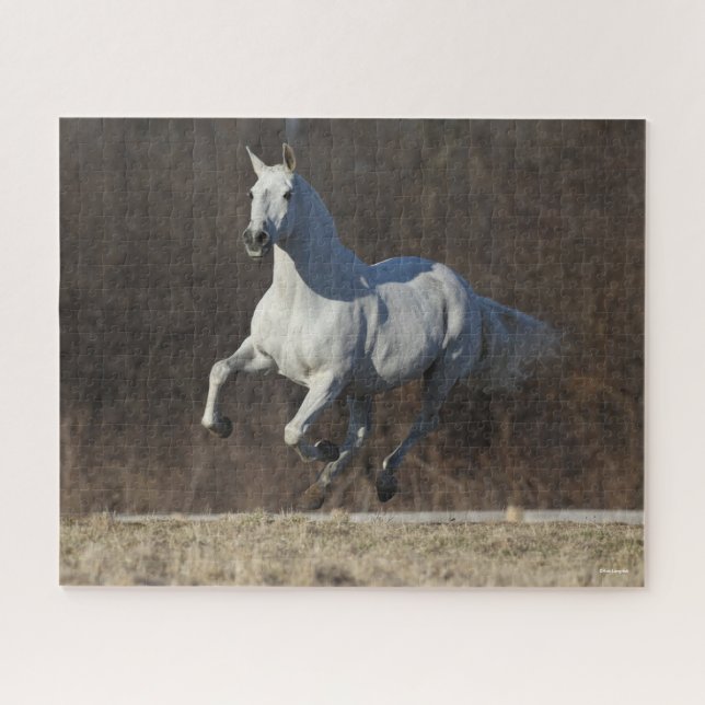 Bob Langrish | Grey Andalucian Running Jigsaw Puzzle (Horizontal)