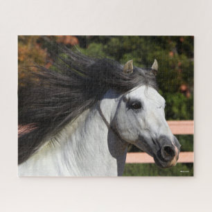 Bob Langrish Grey Andalucian Stallion Headshot 3 Jigsaw Puzzle