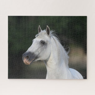 Bob Langrish Grey Andalucian Stallion Headshot 6 Jigsaw Puzzle