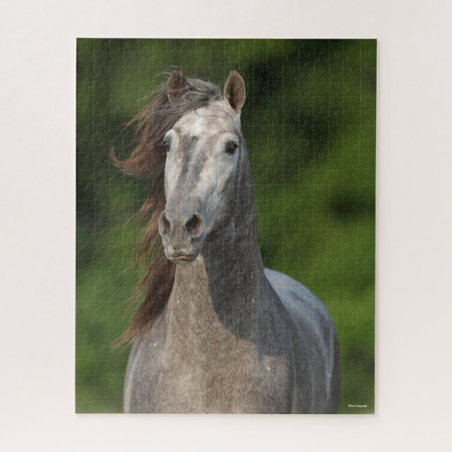 Bob Langrish | Grey Andalucian Stallion Headshot Jigsaw Puzzle (Vertical)
