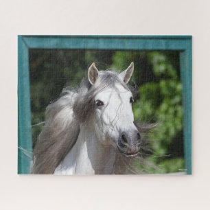 Bob Langrish Grey Andalucian Stallion Headshot Jigsaw Puzzle