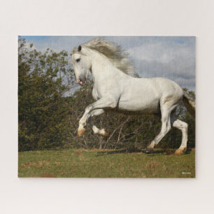 Bob Langrish Grey Andalucian Stallion Leaping Jigsaw Puzzle