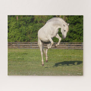 Bob Langrish Grey Andalucian Stallion Leaping Jigsaw Puzzle