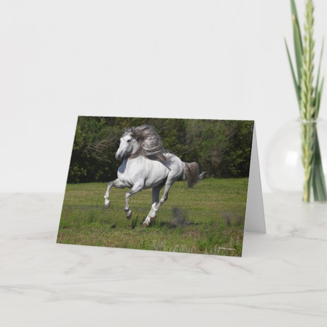 Bob Langrish | Grey Andalucian Stallion Running Card (Front)