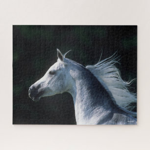 Bob Langrish Grey Arab Headshot 3 Jigsaw Puzzle
