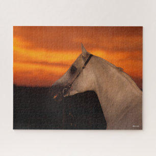 Bob Langrish Grey Arab headshot at Sunset Jigsaw Puzzle