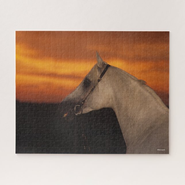 Bob Langrish | Grey Arab headshot at Sunset Jigsaw Puzzle (Horizontal)