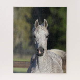 Bob Langrish Grey Arab headshot Jigsaw Puzzle