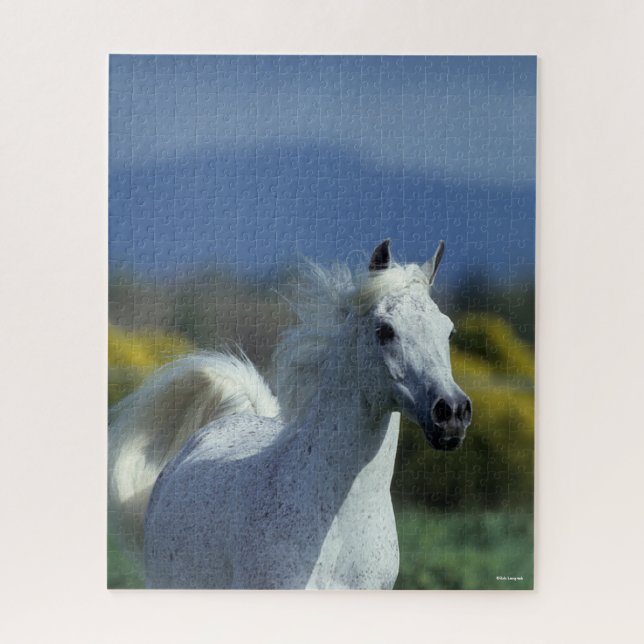 Bob Langrish | Grey Arab Headshot Jigsaw Puzzle (Vertical)