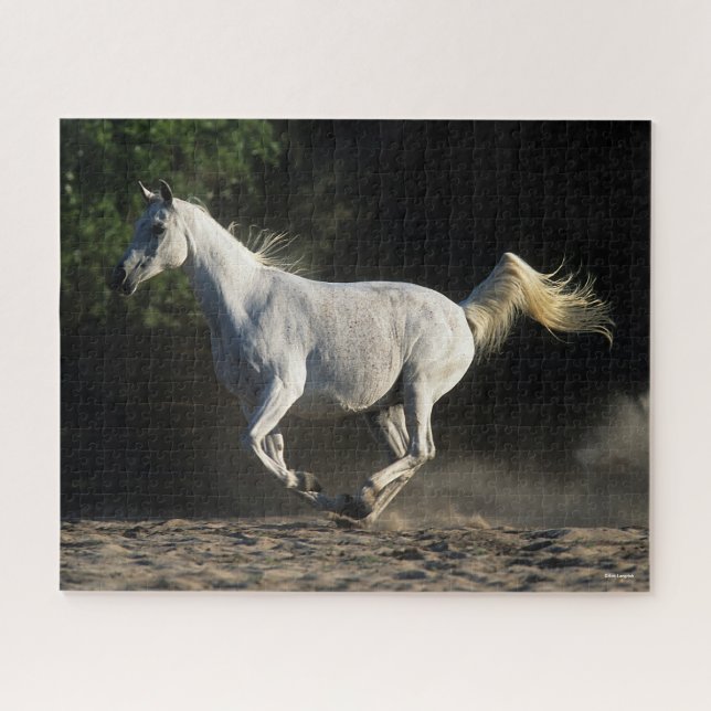 Bob Langrish | Grey Arab Mare Running Jigsaw Puzzle (Horizontal)